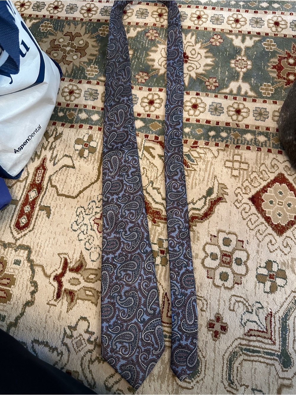 Dior Brown and Blue Paisley Silk Tie
